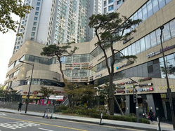 대표사진