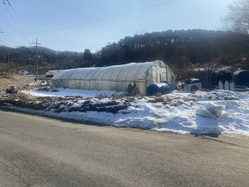 대표사진