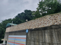 대표사진