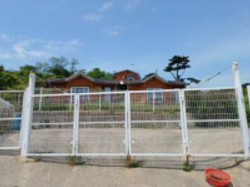 대표사진