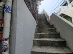 대표사진