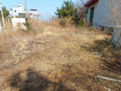 대표사진