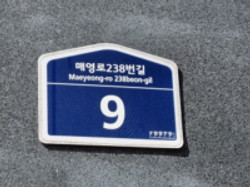 대표사진