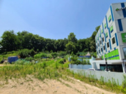 대표사진