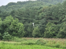 대표사진