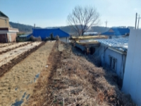 대표사진