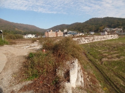 대표사진