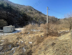 대표사진