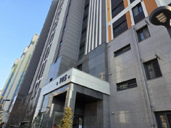 대표사진