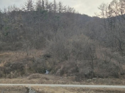 대표사진