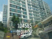 대표사진