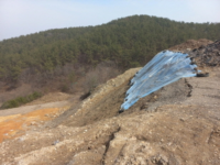 대표사진