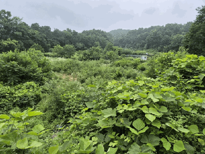 경상남도 양산시 물금읍 상가 경매 2025타경1289 · 감정가 대비 70% 최저가 3억 6,890만원 리스크 점검 - 현장 사진 10
